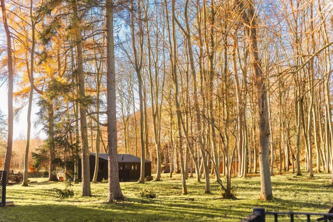 Riverside Cabins Шрусбери Экстерьер фото